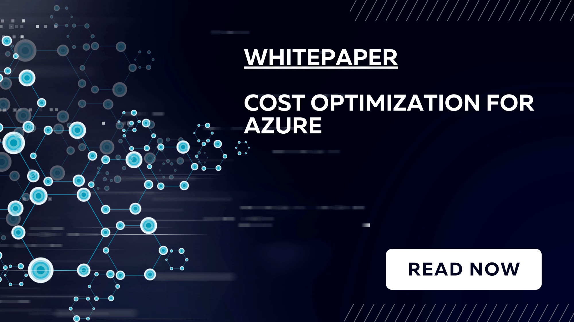 wp - cost